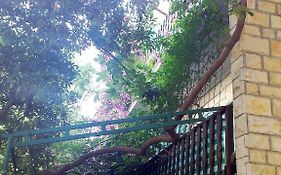 Apartments Kasalo
